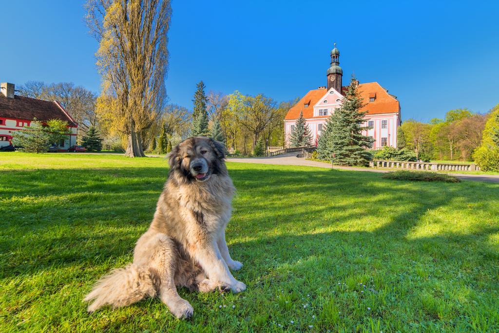 Boutique Palac Warmatowice Sienkiewiczowskie Legnica Dış mekan fotoğraf